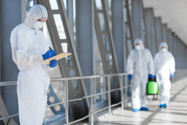 Best Mold Removal for HVAC Installations  in Rogersville, TN