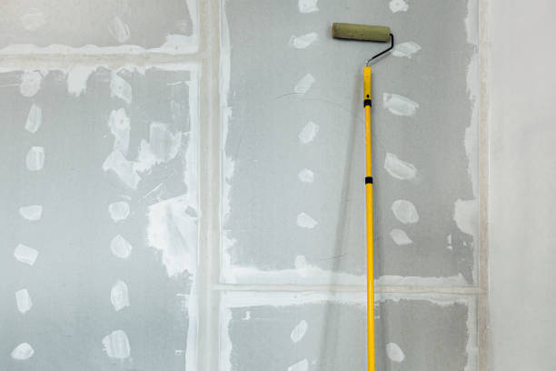 Best Residential Mold Inspection & Testing  in Rogersville, TN