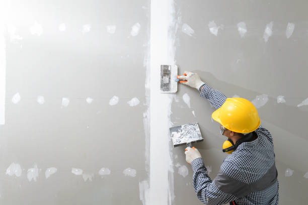 Best Basement Mold Removal  in Rogersville, TN