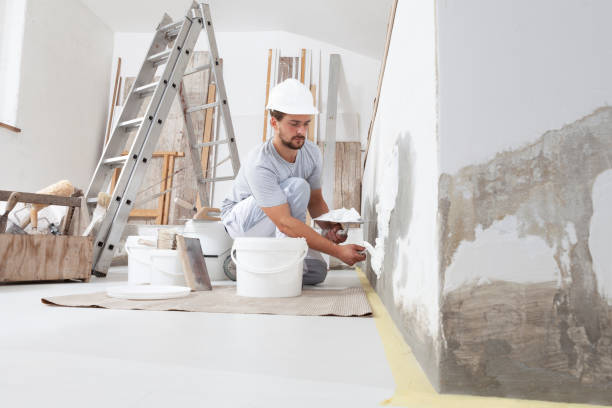 Best Mold Damage Restoration  in Rogersville, TN