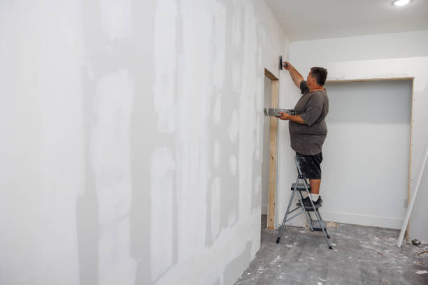 Best Post-Construction Mold Inspection  in Rogersville, TN