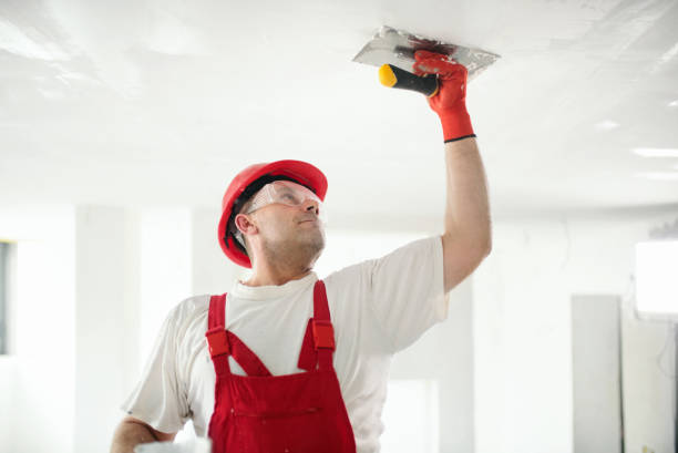 Best Basement Mold Removal  in Rogersville, TN