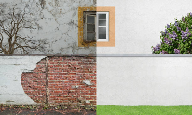 Best Post-Construction Mold Inspection  in Rogersville, TN