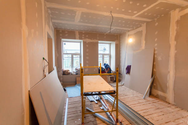 Best Mold Odor Removal Services  in Rogersville, TN