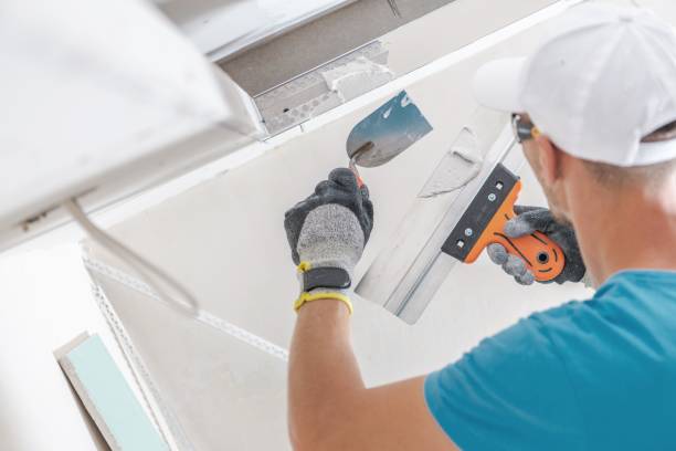 Best Attic Mold Removal  in Rogersville, TN